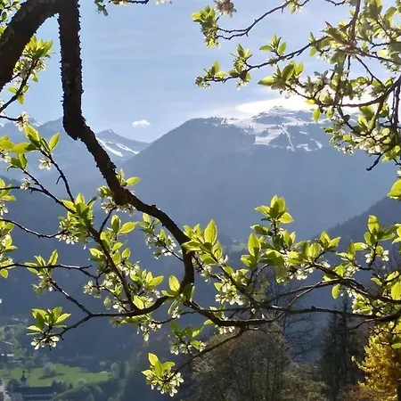 Wachter * Bartholomäberg